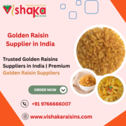 Trusted Golden Raisins Suppliers in India | Premium Golden Raisin Supp