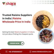 Trusted Raisins Suppliers in India | Raisins Wholesale Price in India
