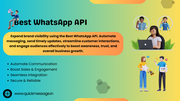 Expand Brand Visibility Using the Best WhatsApp API