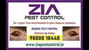 Zia Pest Control Services | Bed Bugs Control | Say Goodbye to Pests! |