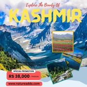 Top Reasons Why Kashmir is India’s Best Tourist Spot