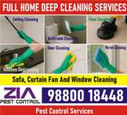 From Dirty to Dazzling – Professional Deep Cleaning Call Today | 244