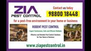 Rodent Control | Zia Pest Control  Bangalore | Residence | Call Us Tod