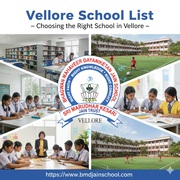 Why the Vellore School List Matters for Parents