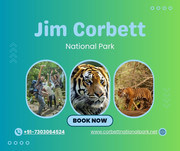 Dhikala Safari Booking for an Exciting Wildlife Experience