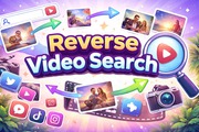 Reverse Video Search