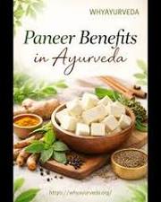 Paneer in Ayurveda: Benefits,  Dosha Effects & Best Way to Eat It