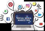 Best Social Media Marketing Agency in Delhi for Result-Driven Brand 