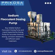 Sodium Flocculant Dosing Pump | Liquid Hypochlorite Dosing Pump