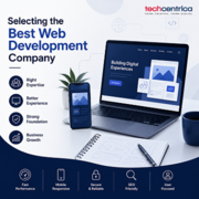 Looking a Trusted Web Development Company Noida with Proven Expertise