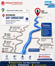 Become an SAP Consultant – Official Training & Global Certification - 